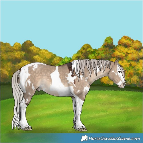 Horse Color:White Spotted Silver Brown Dun Splash Tobiano 