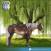 Horse Color:White Spotted Silver Brown Rabicano 