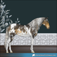 Horse Color:White Spotted Silver Buckskin Tobiano Rabicano