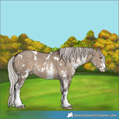 Horse Color:White Spotted Silver Brown Dun 