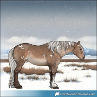 Horse Color:White Spotted Silver Brown Dun Sabino 