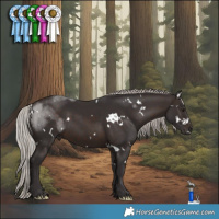Horse Color:White Spotted Silver Brown 