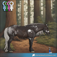 Horse Color:White Spotted Silver Brown 