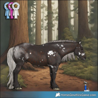 Horse Color:White Spotted Silver Brown