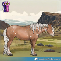 Horse Color:White Spotted Silver Brown Pearl