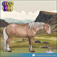 Horse Color:White Spotted Silver Brown Pearl 
