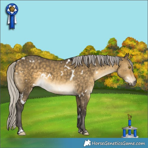 Horse Color:White Spotted Silver Buckskin Dun 