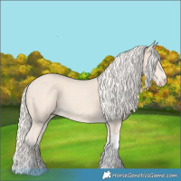 Horse Color:Cremello Tobiano 