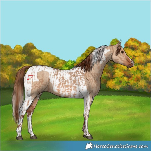 Horse Color:Red Dun and Red Dun Tobiano