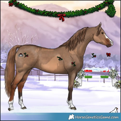 Horse Color:Red Dun  and Liver Red Dun 