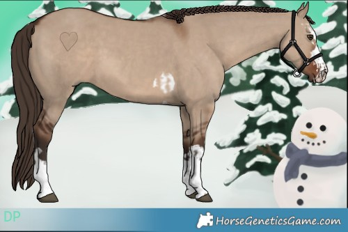 Horse Color:Liver Red Dun  and Liver Red Dun 