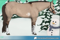 Horse Color:Liver Red Dun  and Liver Red Dun 