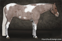 Horse Color:Silver Blue Roan Tobiano Frame 