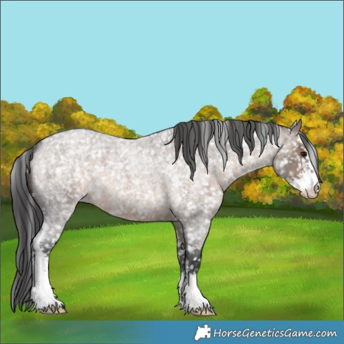 Horse Color:Brown Roan Dun Sabino Appaloosa 