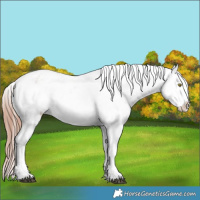 Horse Color:Liver Red Dun Roan Tobiano Snowflake Varnish
