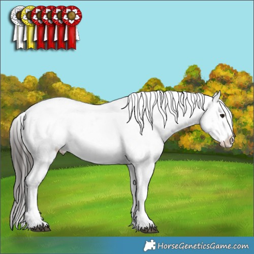 Horse Color:Brown Dun Sabino Appaloosa 