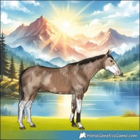 Horse Color:Liver Red Dun  and Liver Red Dun Splash 
