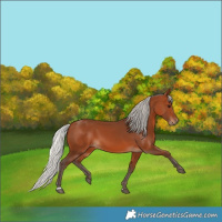 Horse Color:Silver Brown 