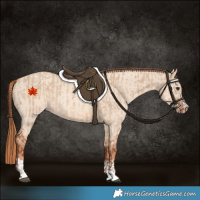 Horse Color:Red Dun  and Gold Champagne Dun 