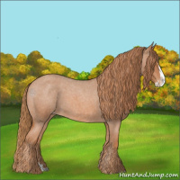 Horse Color:Red Roan Splash Appaloosa 