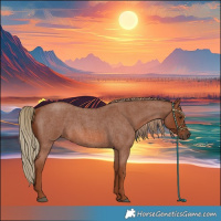 Horse Color:Red Roan 