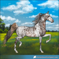 Horse Color:Liver Chestnut Tobiano and Platinum White Spotted Buckskin Dun
