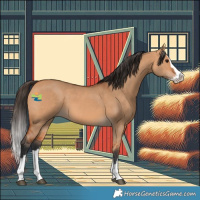 Horse Color:Bay Dun Splash 