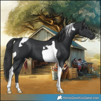 Horse Color:Black Tobiano 
