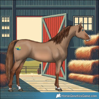 Horse Color:Red Dun Splash 