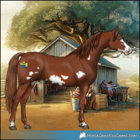 Horse Color:Chestnut Frame 