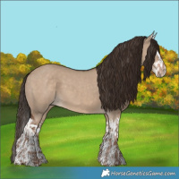 Horse Color:Liver Red Dun  and Liver Red Dun Splash 