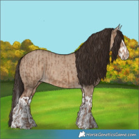 Horse Color:Liver Red Dun and Liver Red Dun Splash
