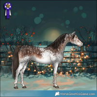 Horse Color:White Spotted Liver Red Roan and White Spotted Liver Chestnut