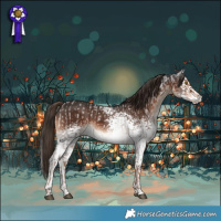 Horse Color:White Spotted Liver Red Roan and White Spotted Liver Chestnut