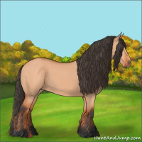 Horse Color:Bay Dun