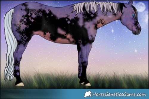 Horse Color:Gray Void Watercolor White Spotted Silver Black Frame 