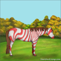 Horse Color:Red Dun  and Red Dun 
