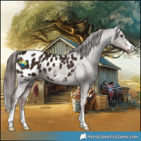 Horse Color:Liver Chestnut Blanket 
