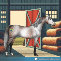 Horse Color:Gray Bay 