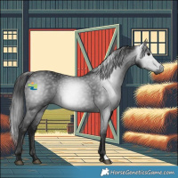 Horse Color:Gray Black 