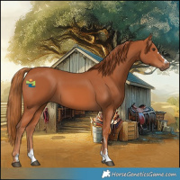 Horse Color:Chestnut 