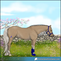 Horse Color:Silver Smoky Grullo Tobiano 