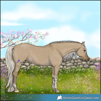 Horse Color:Silver Smoky Grullo Tobiano 