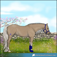 Horse Color:Silver Smoky Grullo Tobiano 