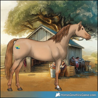 Horse Color:Red Dun 