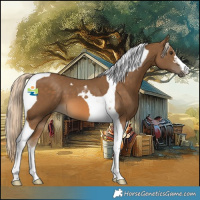 Horse Color:Chocolate Palomino Tobiano 