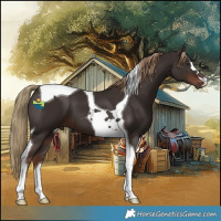 Horse Color:Liver Chestnut Tobiano 