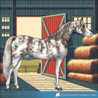 Horse Color:Chocolate Palomino Sabino 