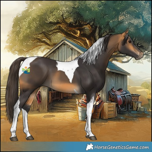 Horse Color:Buckskin Tobiano 