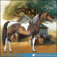 Horse Color:Buckskin Tobiano 